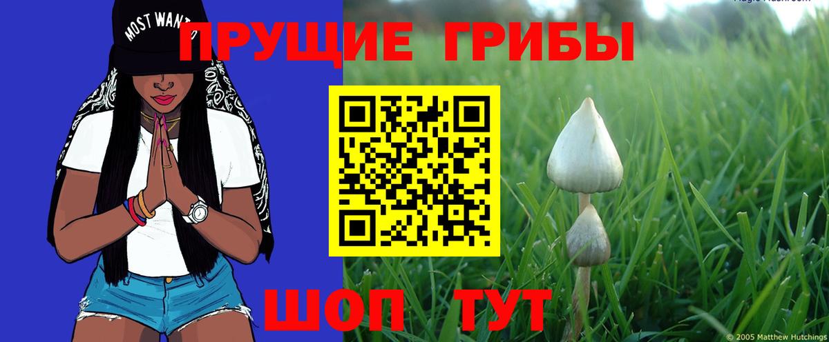 Псилоцибиновые грибы прущие грибы  Вход с VPN  Кирово-Чепецк 
